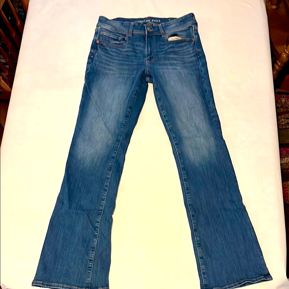 American Eagle Outfitters Blue Flare Wide Leg Jeans